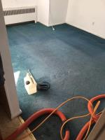 Steam Authority Carpet Cleaning & Restoration image 3